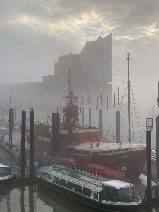 Die Elbphilharmonie im morgendlichen Nebel