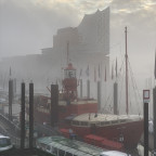 Die Elbphilharmonie im morgendlichen Nebel