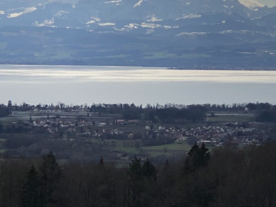Rein Optisch rückt die Schweiz näher zu Deutschland - oder andersrum