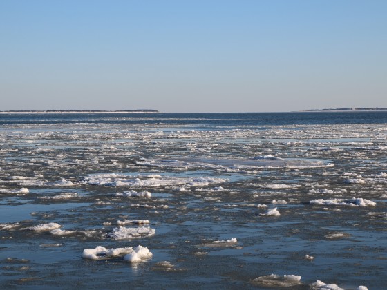 Föhr ist links