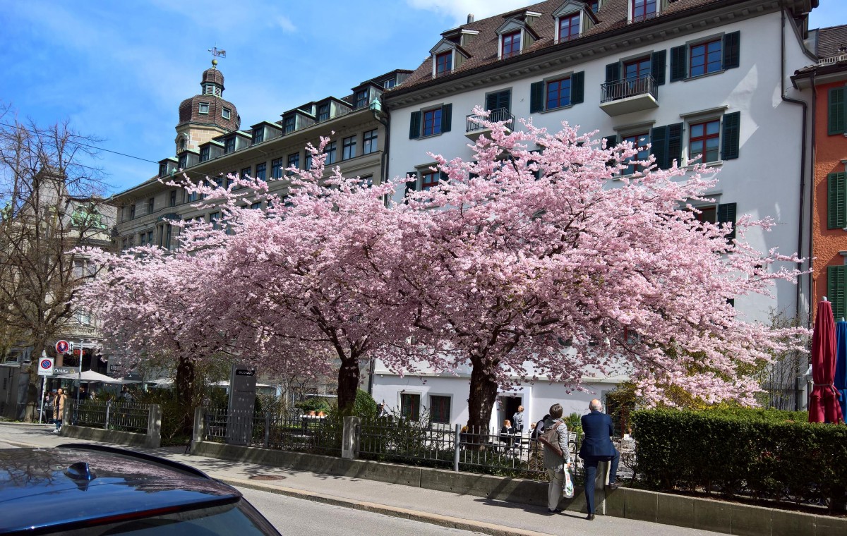 Frühling in St. Gallen