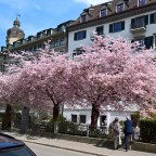 Frühling in St. Gallen