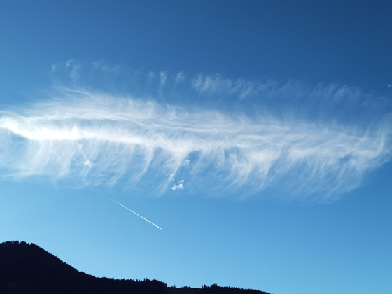 "Tausendfüsslerwolke"